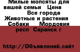 Милые мопсяты для вашей семьи › Цена ­ 20 000 - Все города Животные и растения » Собаки   . Мордовия респ.,Саранск г.